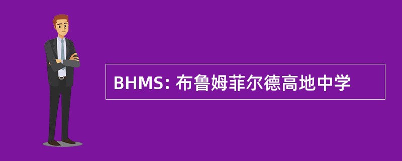 BHMS: 布鲁姆菲尔德高地中学