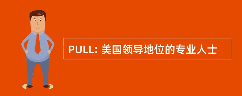 PULL: 美国领导地位的专业人士