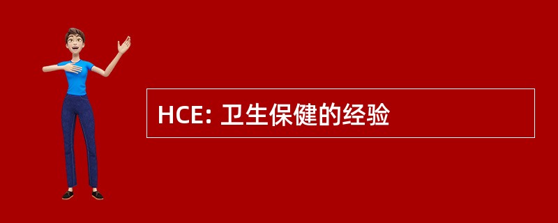 HCE: 卫生保健的经验