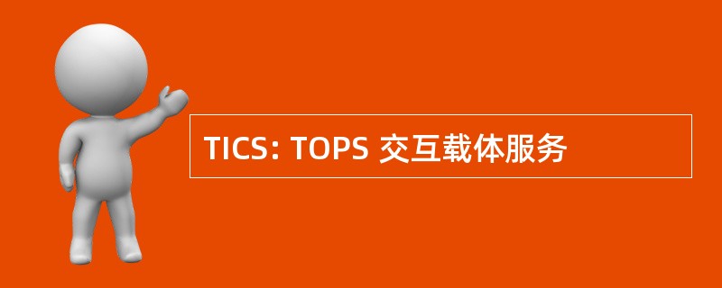 TICS: TOPS 交互载体服务