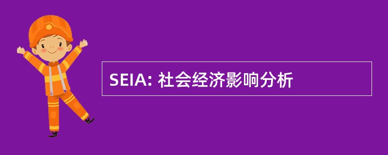 SEIA: 社会经济影响分析