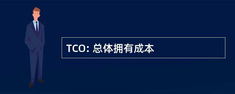 TCO: 总体拥有成本