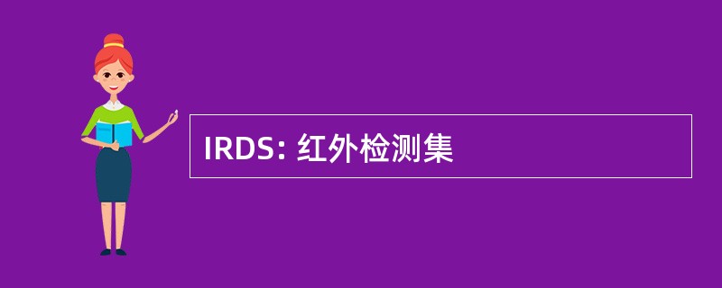 IRDS: 红外检测集