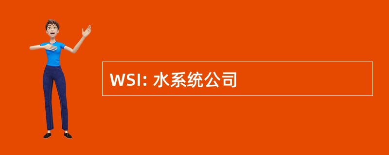 WSI: 水系统公司