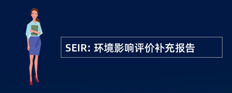 SEIR: 环境影响评价补充报告