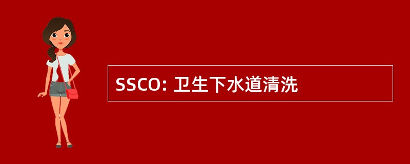 SSCO: 卫生下水道清洗