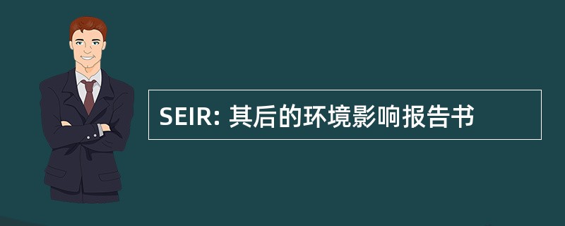 SEIR: 其后的环境影响报告书