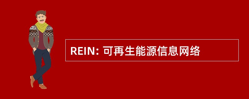 REIN: 可再生能源信息网络