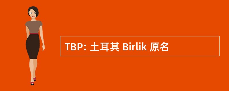 TBP: 土耳其 Birlik 原名