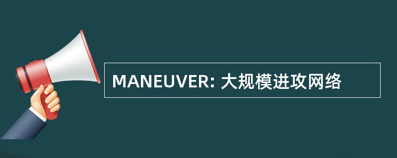 MANEUVER: 大规模进攻网络