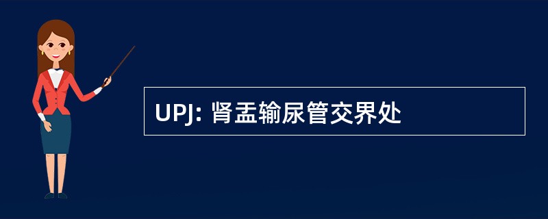 UPJ: 肾盂输尿管交界处