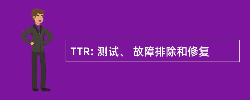 TTR: 测试、 故障排除和修复