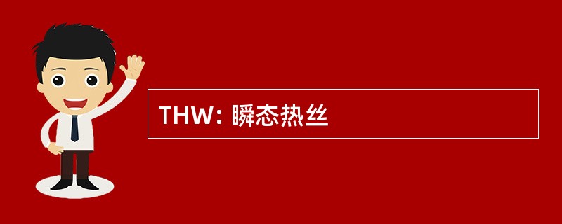 THW: 瞬态热丝