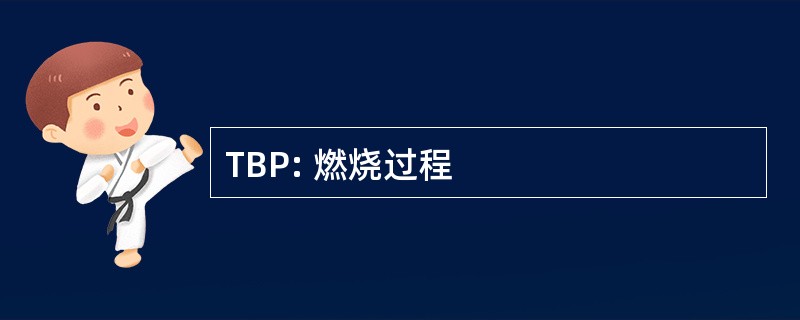 TBP: 燃烧过程