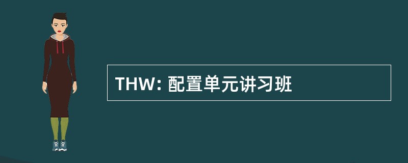 THW: 配置单元讲习班