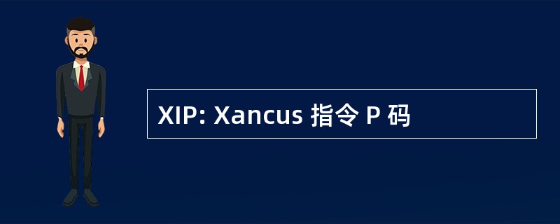 XIP: Xancus 指令 P 码