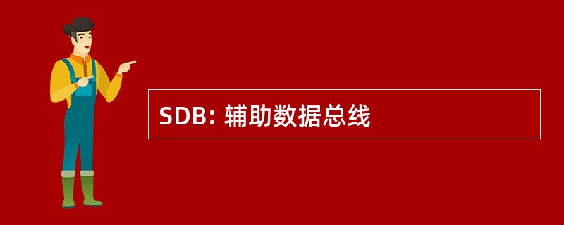 SDB: 辅助数据总线