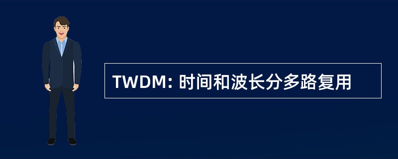 TWDM: 时间和波长分多路复用