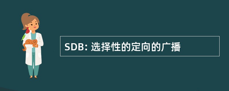 SDB: 选择性的定向的广播