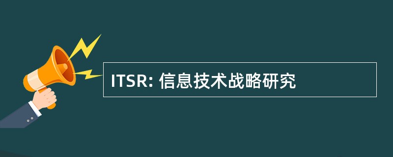 ITSR: 信息技术战略研究