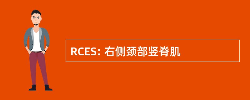 RCES: 右侧颈部竖脊肌