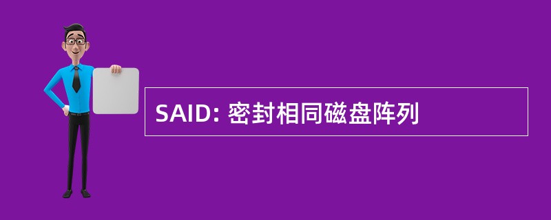 SAID: 密封相同磁盘阵列