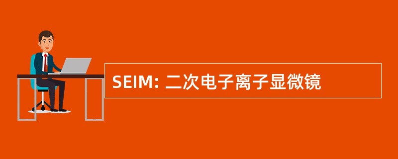 SEIM: 二次电子离子显微镜