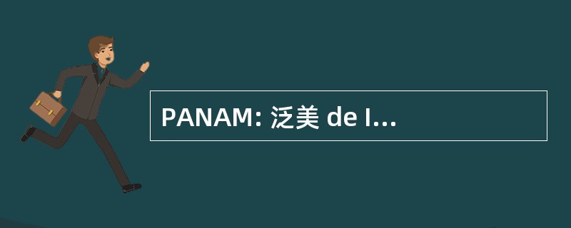 PANAM: 泛美 de Ingeniería de 则 y 城市交通规划