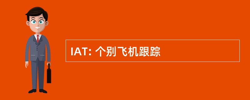 IAT: 个别飞机跟踪