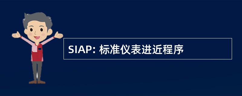 SIAP: 标准仪表进近程序