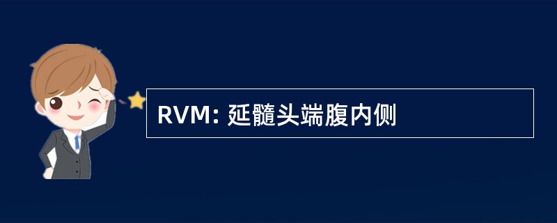 RVM: 延髓头端腹内侧