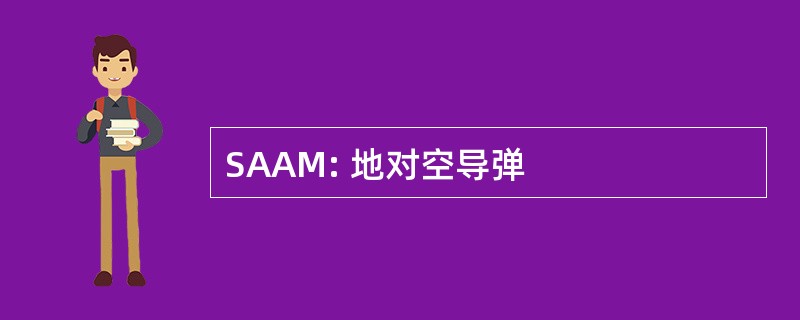 SAAM: 地对空导弹