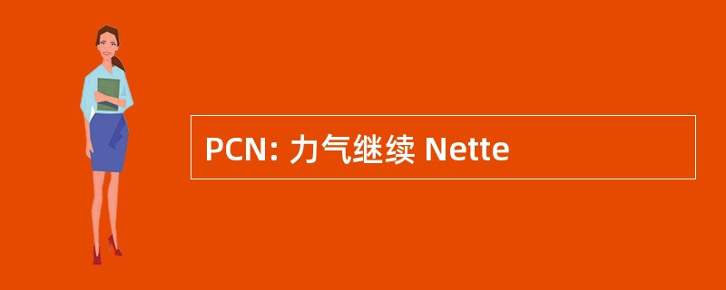 PCN: 力气继续 Nette