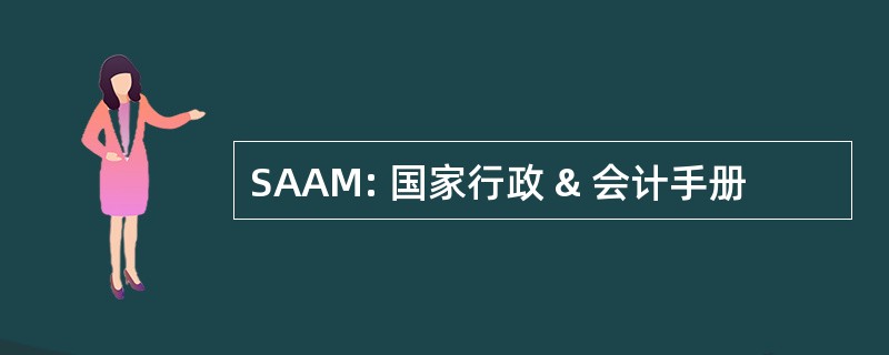 SAAM: 国家行政 & 会计手册