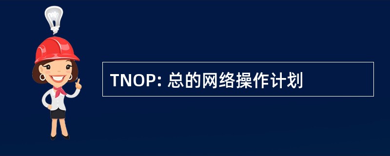 TNOP: 总的网络操作计划