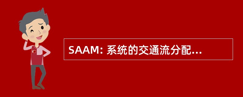 SAAM: 系统的交通流分配 & 在宏观层面的分析