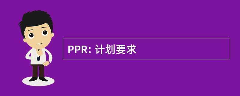 PPR: 计划要求