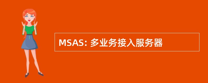 MSAS: 多业务接入服务器