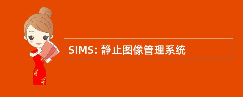 SIMS: 静止图像管理系统