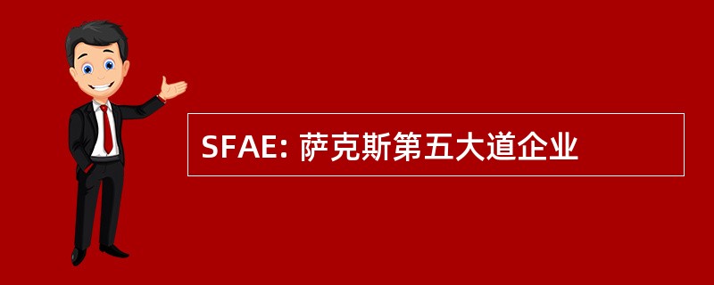 SFAE: 萨克斯第五大道企业