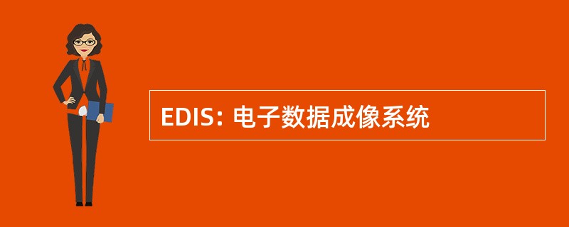 EDIS: 电子数据成像系统