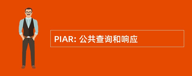 PIAR: 公共查询和响应