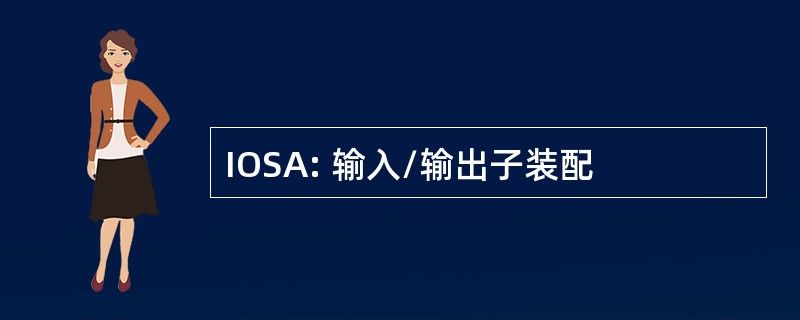 IOSA: 输入/输出子装配