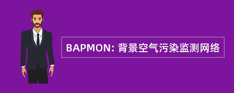 BAPMON: 背景空气污染监测网络