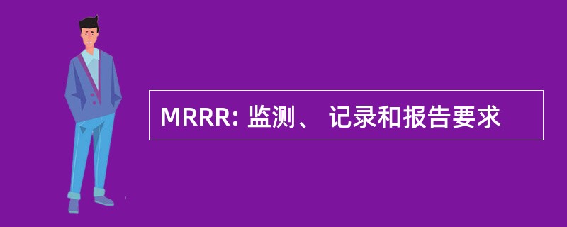 MRRR: 监测、 记录和报告要求