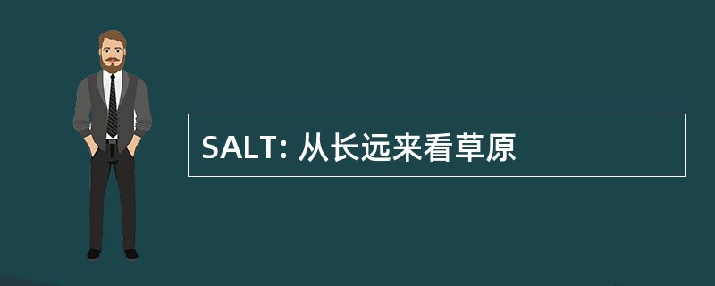 SALT: 从长远来看草原