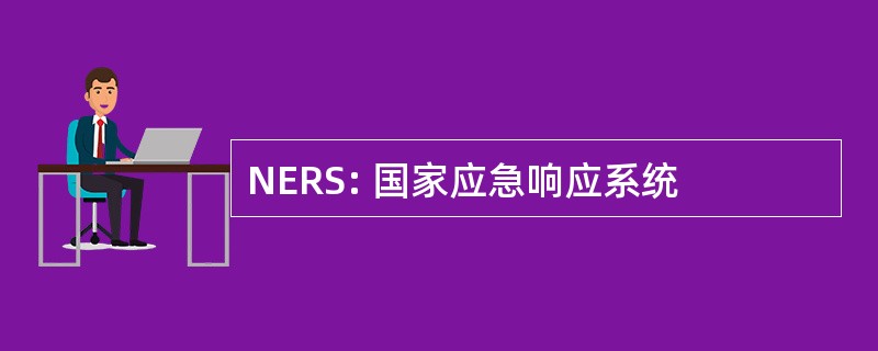 NERS: 国家应急响应系统