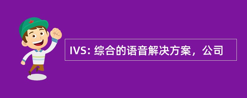 IVS: 综合的语音解决方案，公司