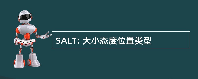 SALT: 大小态度位置类型