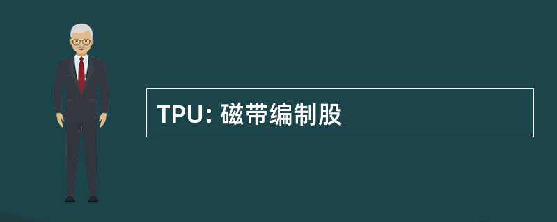 TPU: 磁带编制股